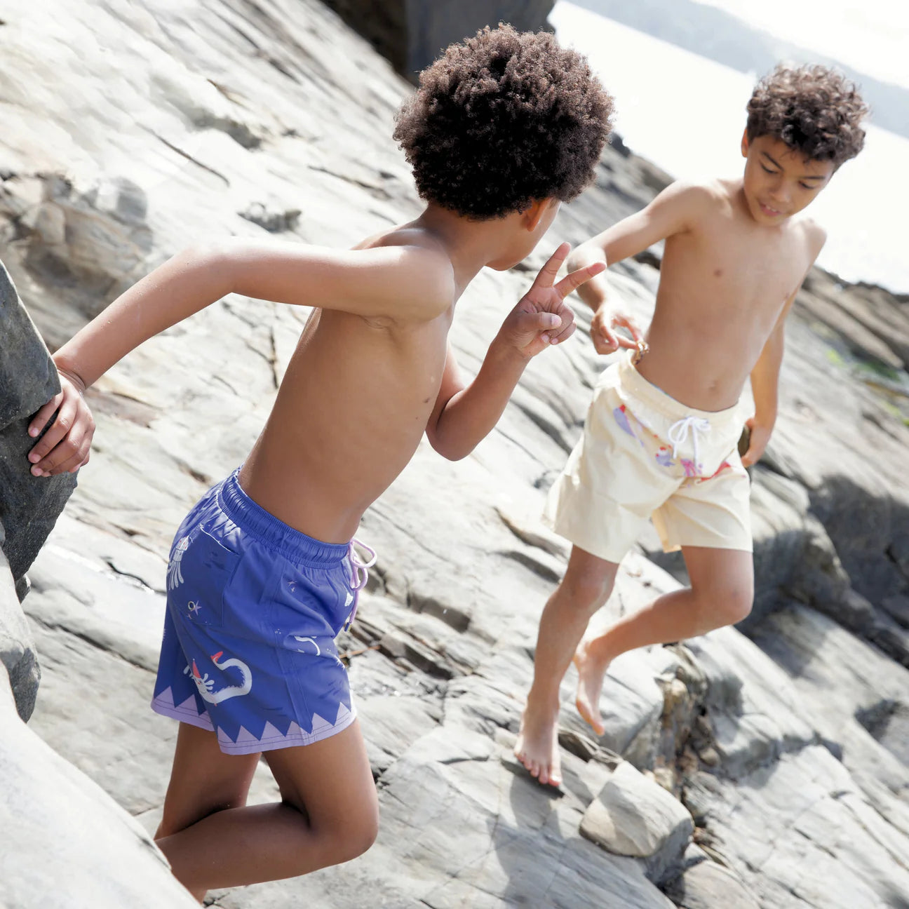 Party Creatures Swim Shorts | Purple Blue